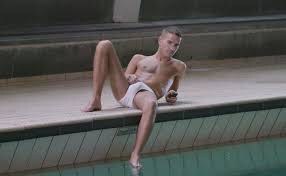 Nicolas Maxim Endlicher