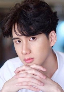 皮拉维奇·普洛伊南彭