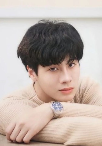 尼替通·詹鲁柴