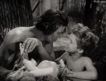 约翰尼·谢菲尔德