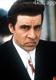 史蒂夫·范·赞特