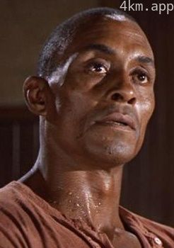 伍迪·斯特罗德