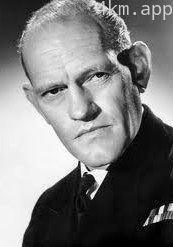 哈里·安德鲁斯