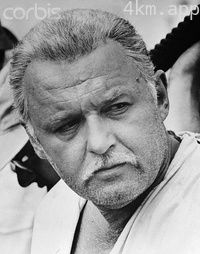 罗德·斯泰格尔