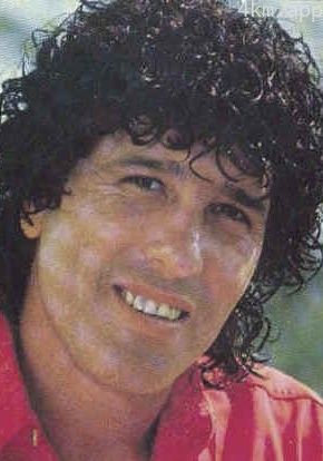 尼内托·达沃利