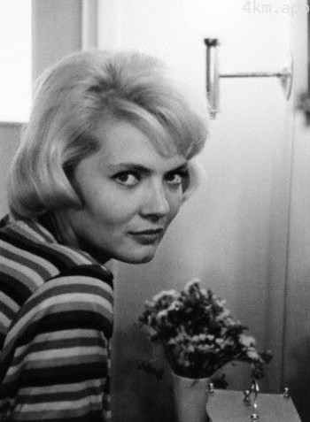 科琳娜·马尔尚