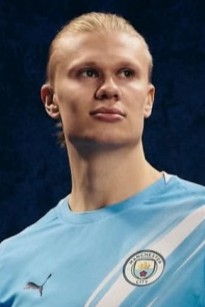 埃尔林·哈兰德