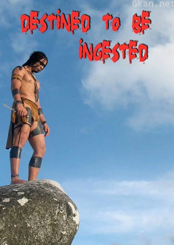 命中注定（2008）