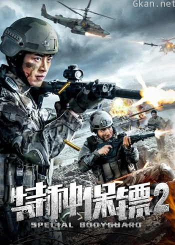 特种保镖2