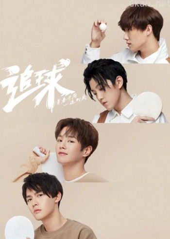 追球之乒乓男团养成攻略