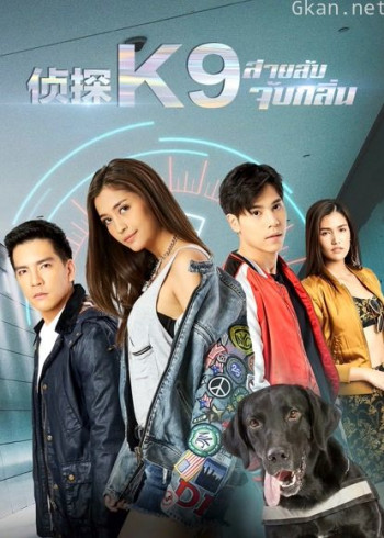 侦探k9