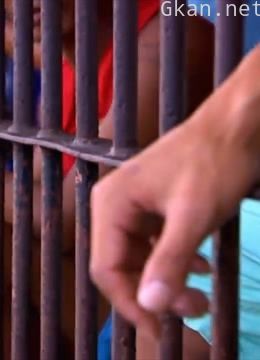 无奇不有神奇的世界