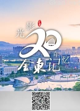 光影20年——金东记忆
