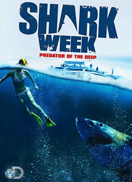 鲨鱼周:巨齿鲨未曾灭绝