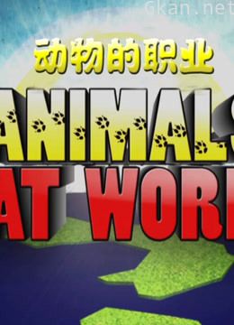 动物的职业