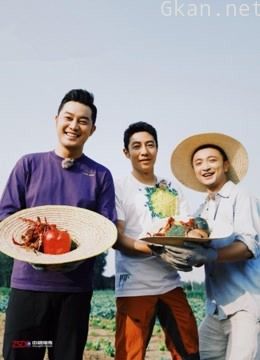 你好生活:央视的流量密码撒贝宁