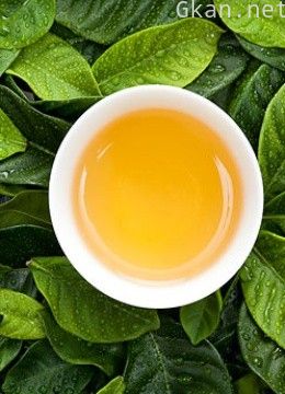 央视纪录频道《茶》第二集(精彩片段)