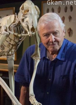 大卫·爱登堡的自然珍奇