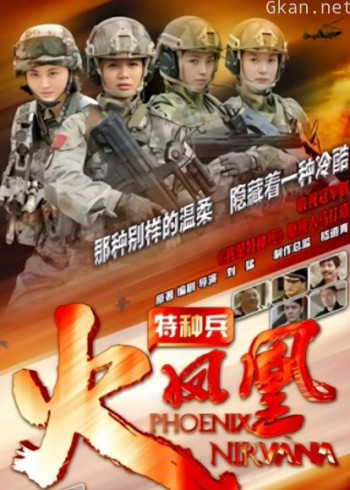 特种兵之火凤凰dvd版