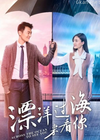 漂洋过海来看你dvd版