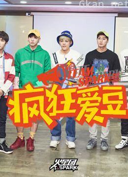 《疯狂爱豆》teamspark