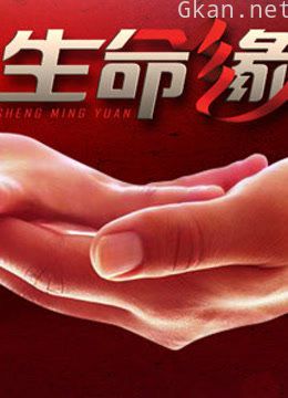 生命缘 第四季