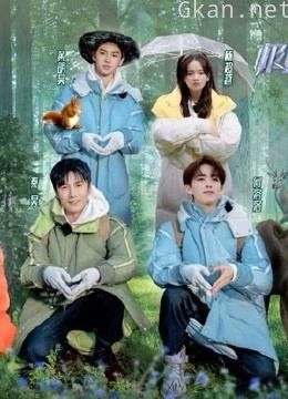 《极限挑战宝藏行2》精彩收纳