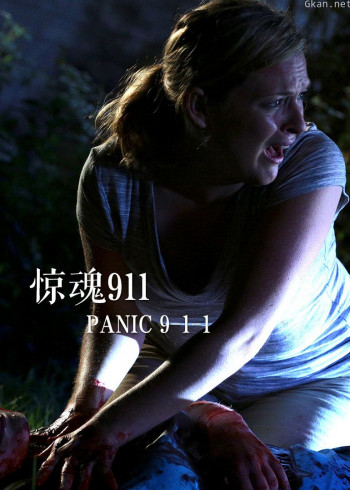 惊魂911