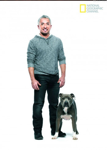 呼叫西萨狗教官 第一季