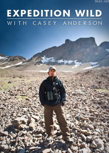 荒野远征 第一季