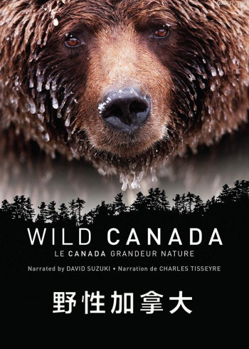 野性加拿大