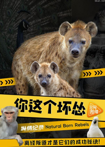 你这个坏怂(普通话版)