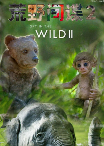 荒野间谍 第二季