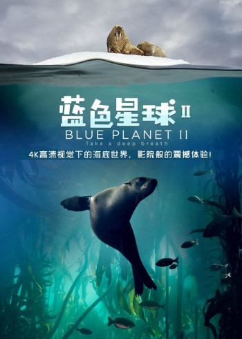 蓝色星球 第二季