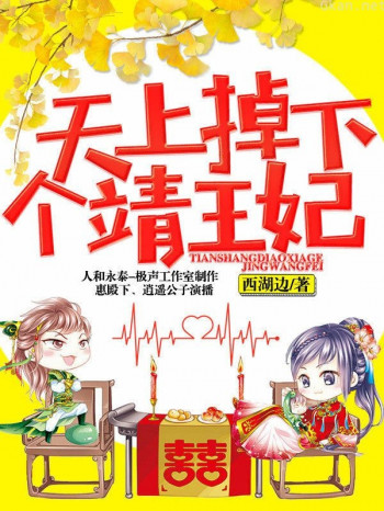 天上掉下个靖王妃(第四部)