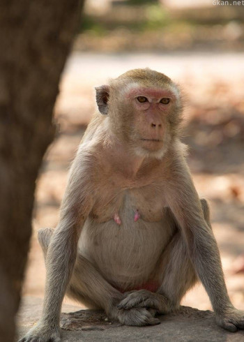 玩命接触 第二季