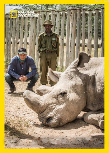 巨星环境保卫战 第二季