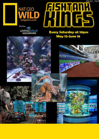 水族之王 第二季