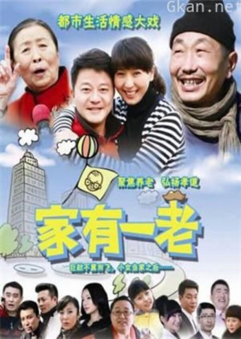 家有一老