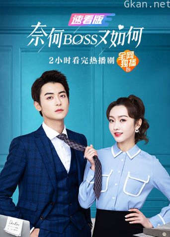 奈何BOSS又如何 速看版