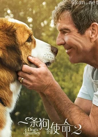 一条狗的使命2 普通话版