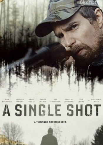 致命一击（2013）