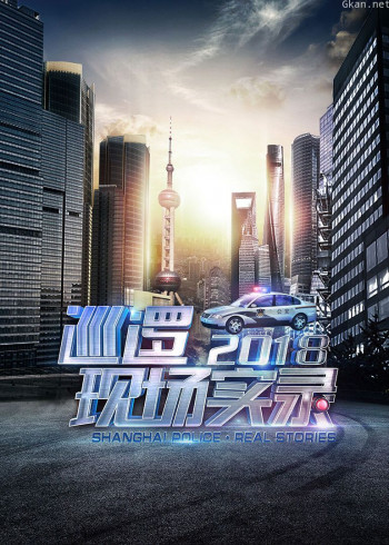 巡逻现场实录2018