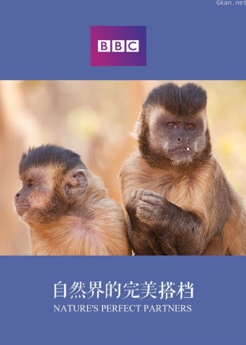 自然世界：自然界的完美搭档