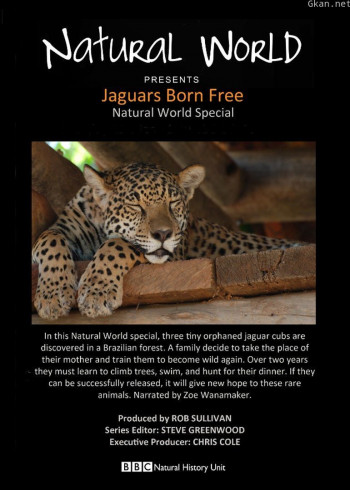 美洲豹：生而自由