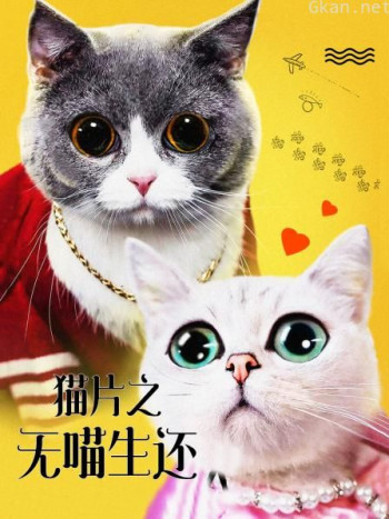 猫片之无喵生还