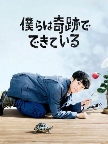 我们由奇迹构成