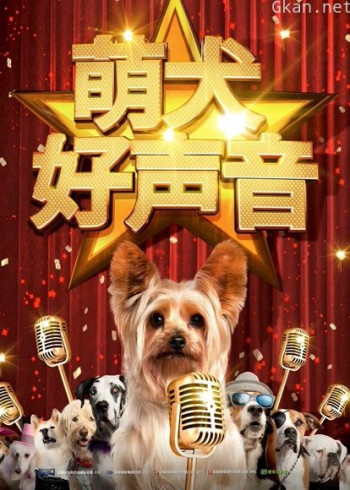 萌犬好声音