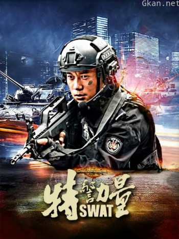 特警力量 DVD版