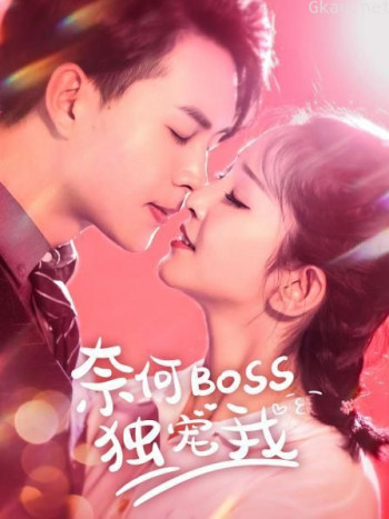 奈何boss独宠我
